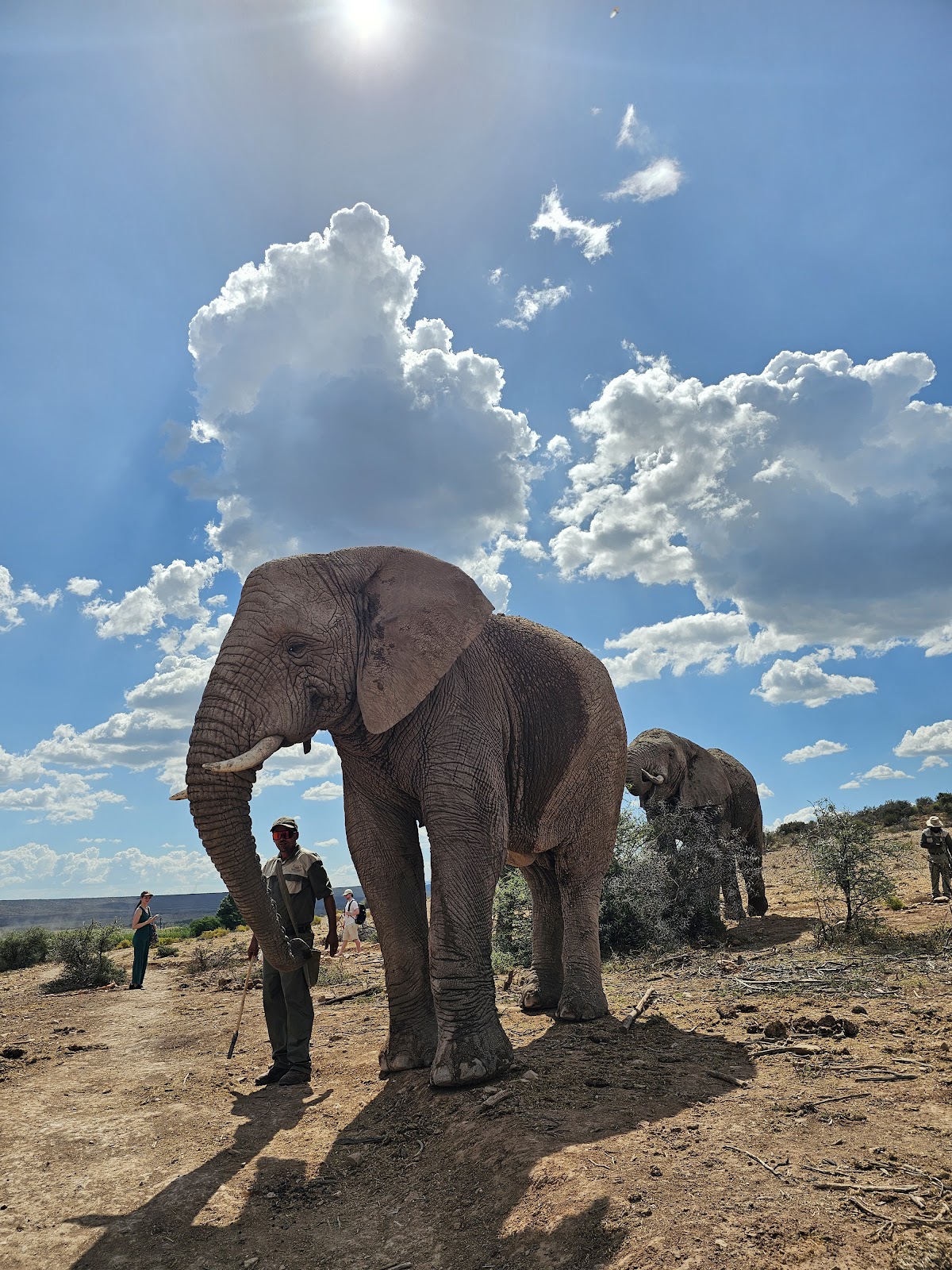 Hotspots2c Tours — tour operator in Cape Town, South Africa – photo 6