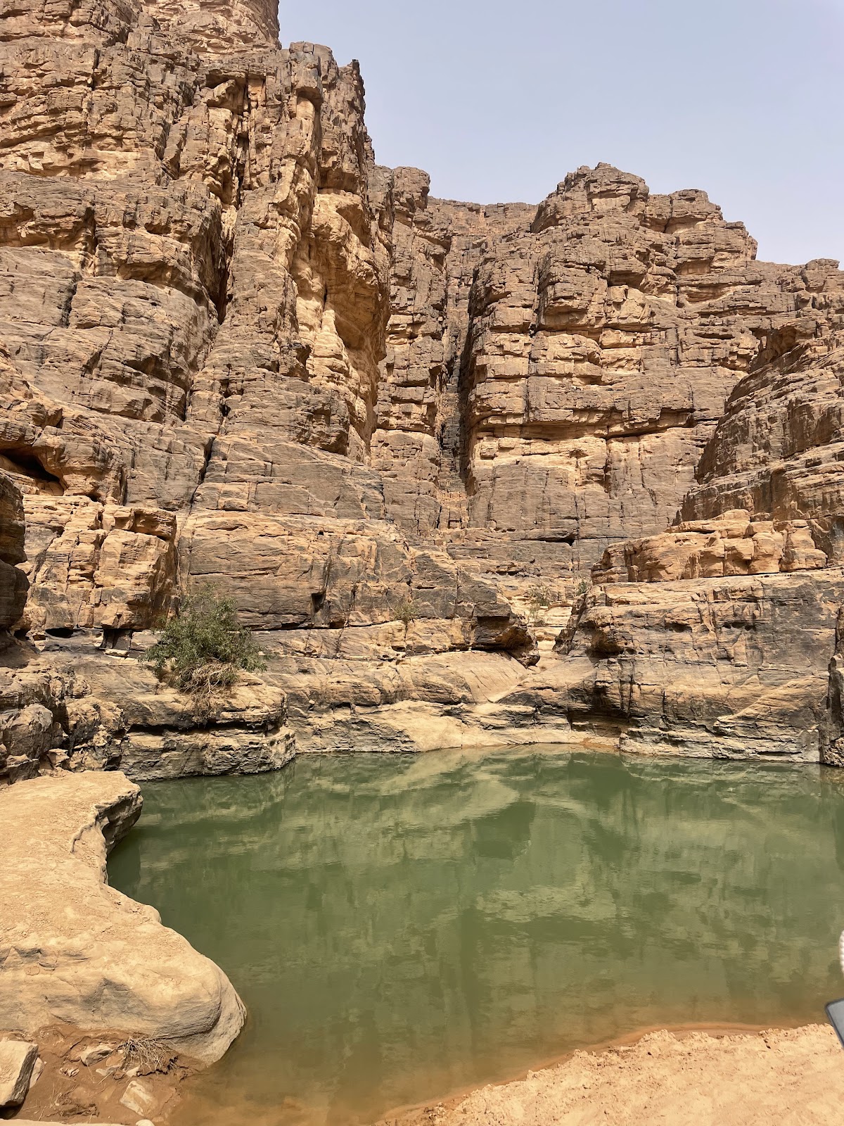 Freedom travel algeria — tour operator in Résidence Darine local 5 îlot 15, Algeria – photo 5