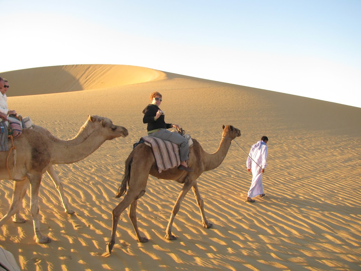 Look at Egypt Tours — tour operator in حدائق الاهرام، Old, Egypt – photo 3
