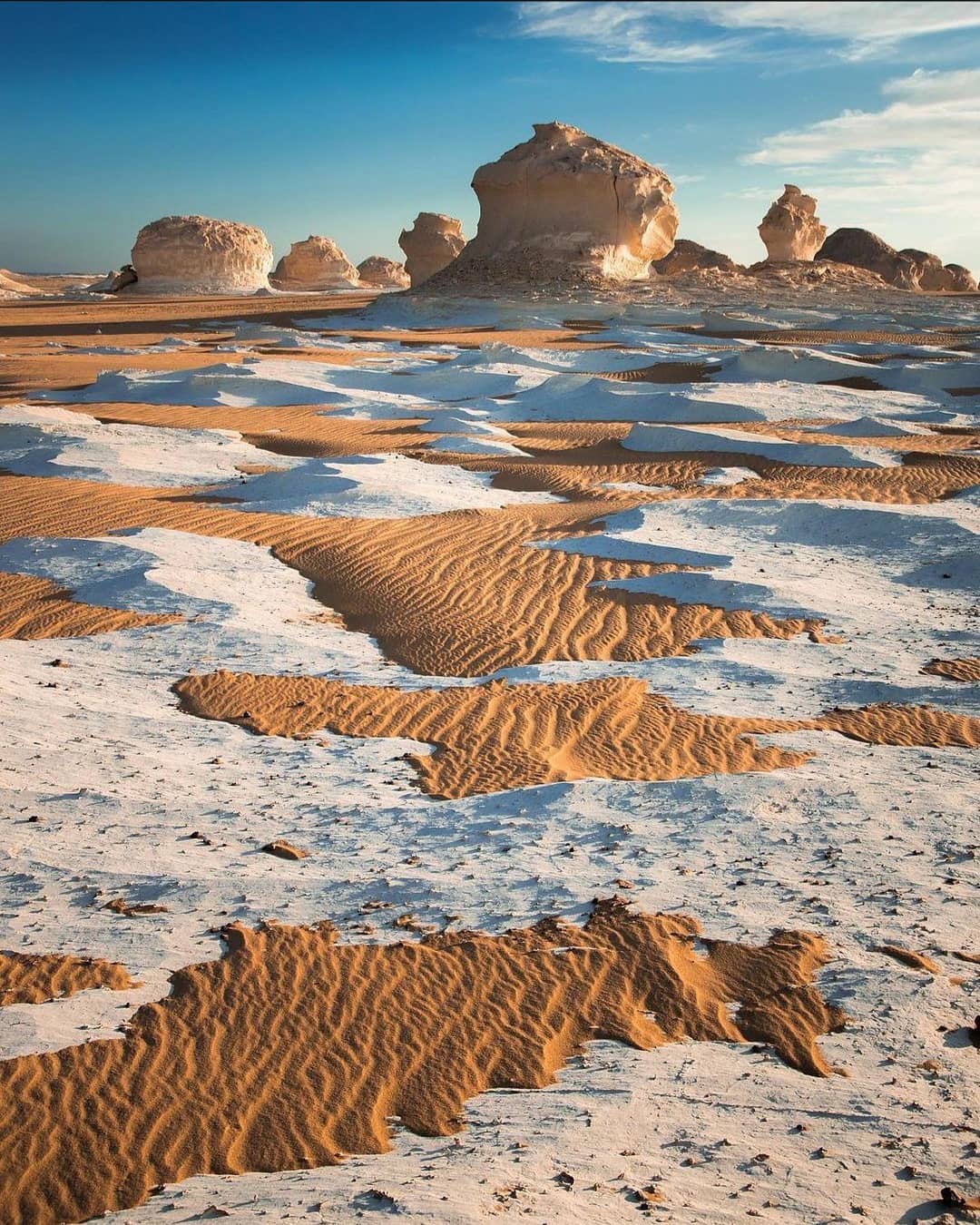 Egypt Tours エジプト現地旅行代理店 — tour operator in El Nil, Egypt – photo 6