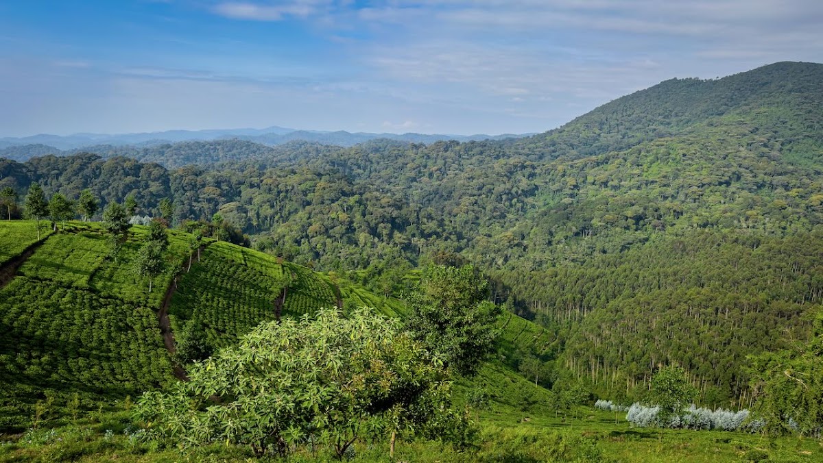 Beautiful Rwanda Tours — tour operator in KN 3 Ave, Rwanda – photo 1
