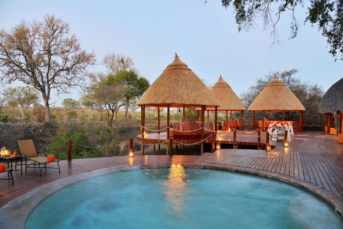 African Safari Group — tour operator in Cape Town, South Africa – photo 3