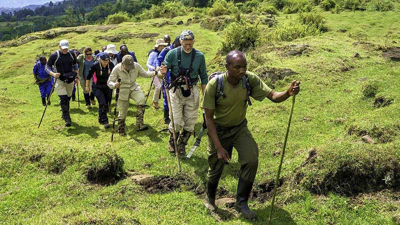 Seek Wild Africa – Rwanda Gorilla Trekking Tours & Wildlife Safaris — tour operator in KG 111 St, Rwanda – photo 6