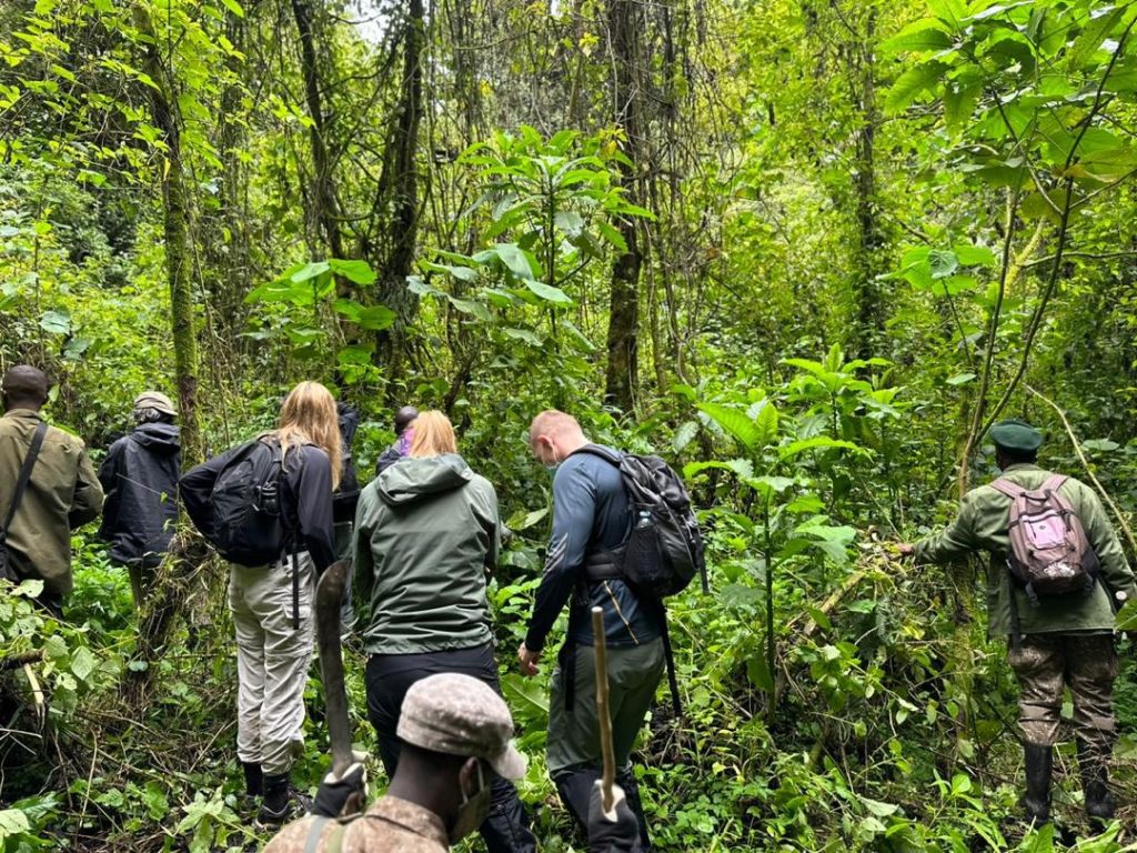 Seek Wild Africa – Rwanda Gorilla Trekking Tours & Wildlife Safaris — tour operator in KG 111 St, Rwanda – photo 2
