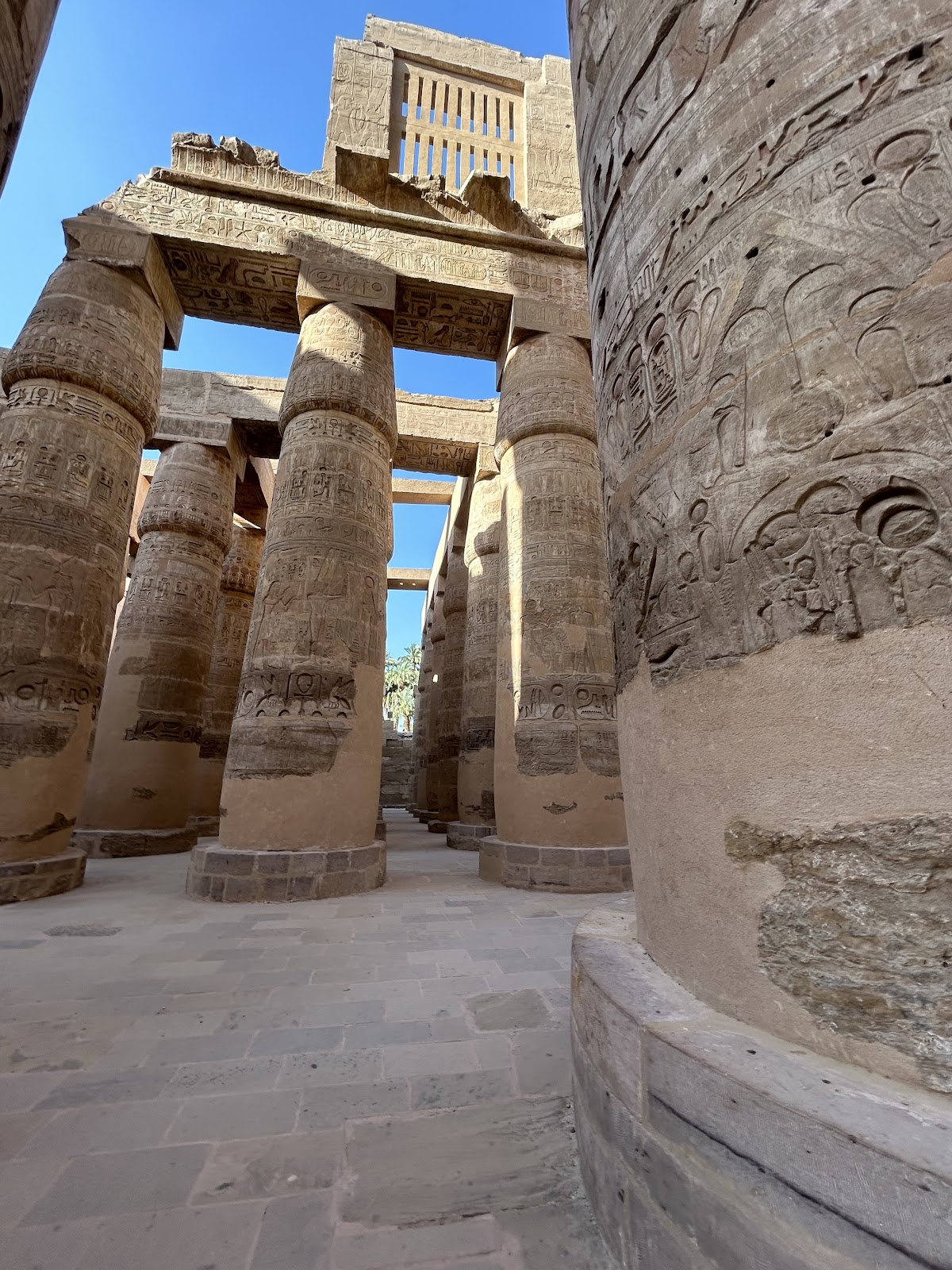 white sand egypt tours — tour operator in Nasr City, Egypt – photo 2