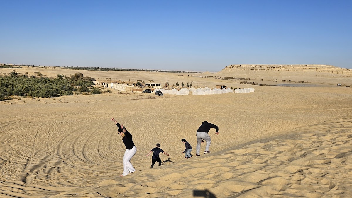 Seba Tours Egypt — tour operator in Zamalek, Egypt – photo 3