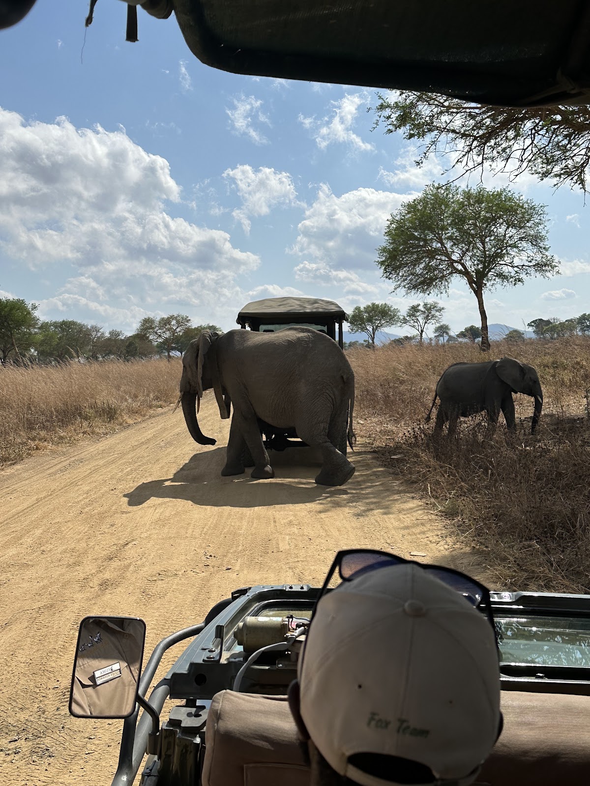 Bon Voyage Travel Centre - Safaris Tanzania — tour operator in Ali Hassan Mwinyi Rd, Tanzania – photo 4