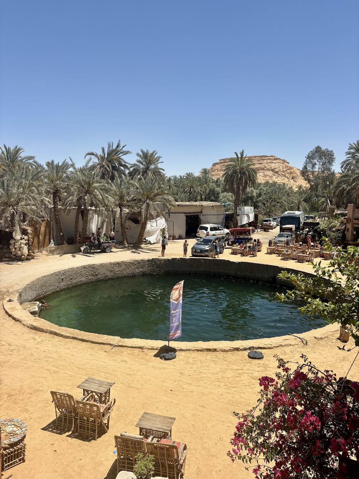 Luxury Tours Egypt — tour operator in pyramids, Egypt – photo 2