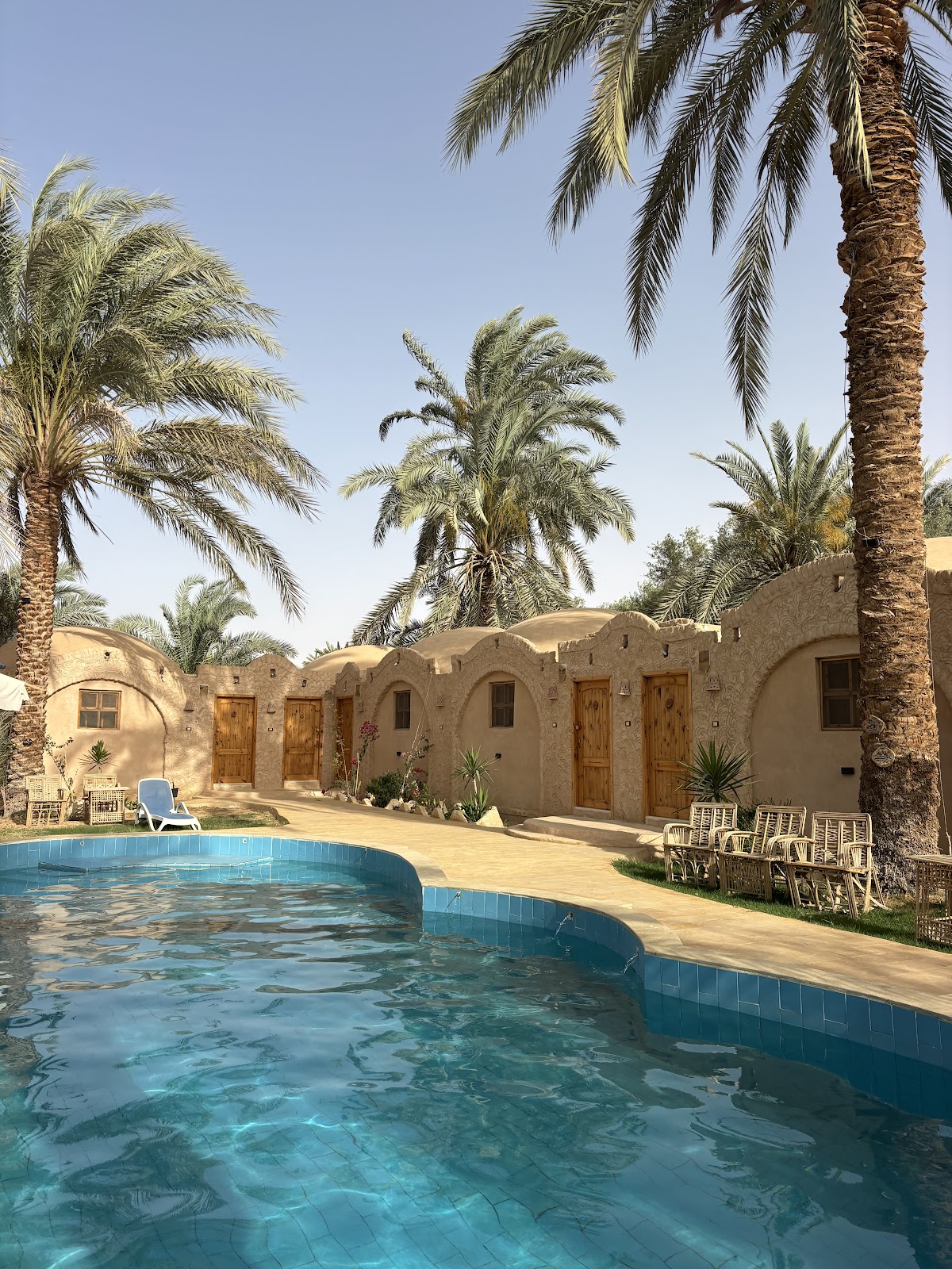 Luxury Tours Egypt — tour operator in pyramids, Egypt – photo 5
