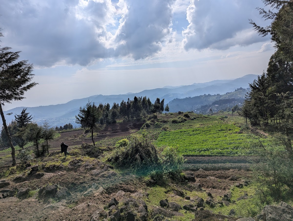 Universal Ventures -Gorilla trekking Rwanda-wildlife safari Rwanda-visit Rwanda. — tour operator in KK 15 Rd, Rwanda – photo 3