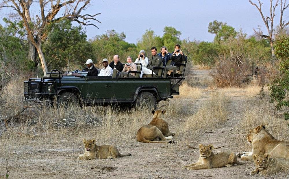 Wild Wings Safaris — tour operator in George, South Africa – photo 3
