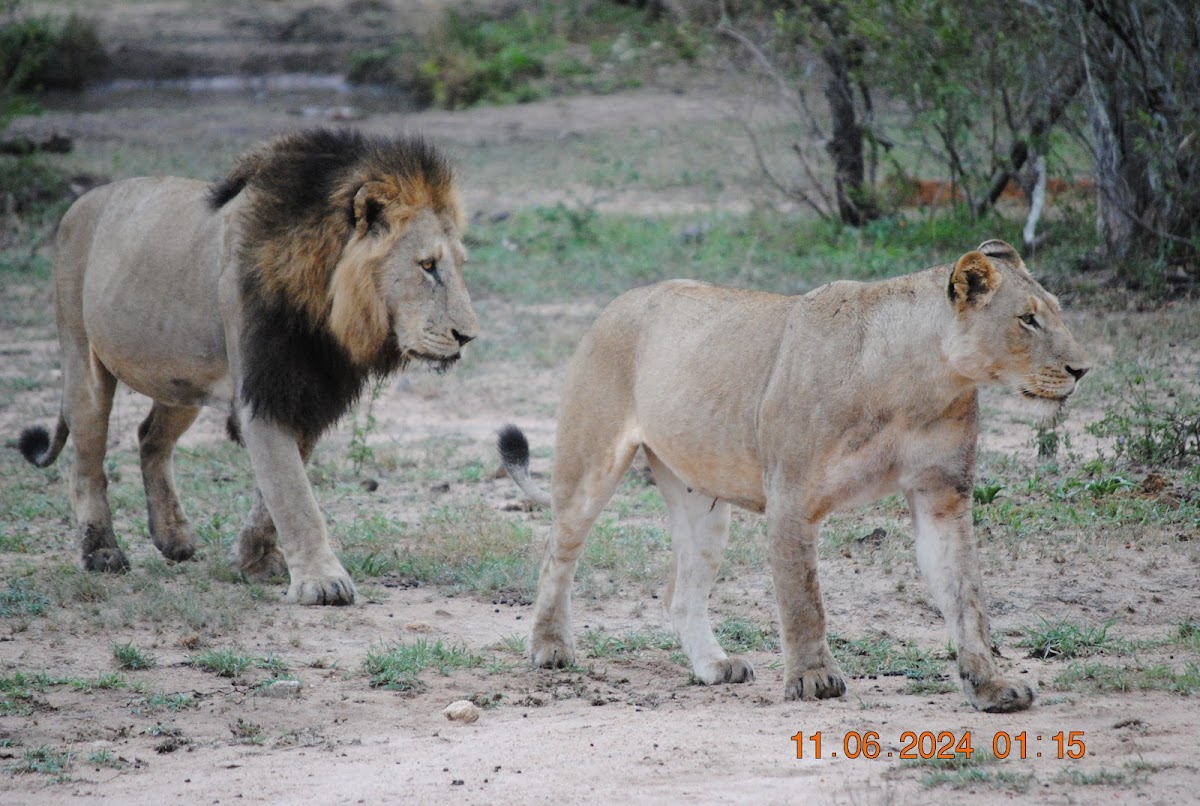 Wild Wings Safaris — tour operator in George, South Africa – photo 5
