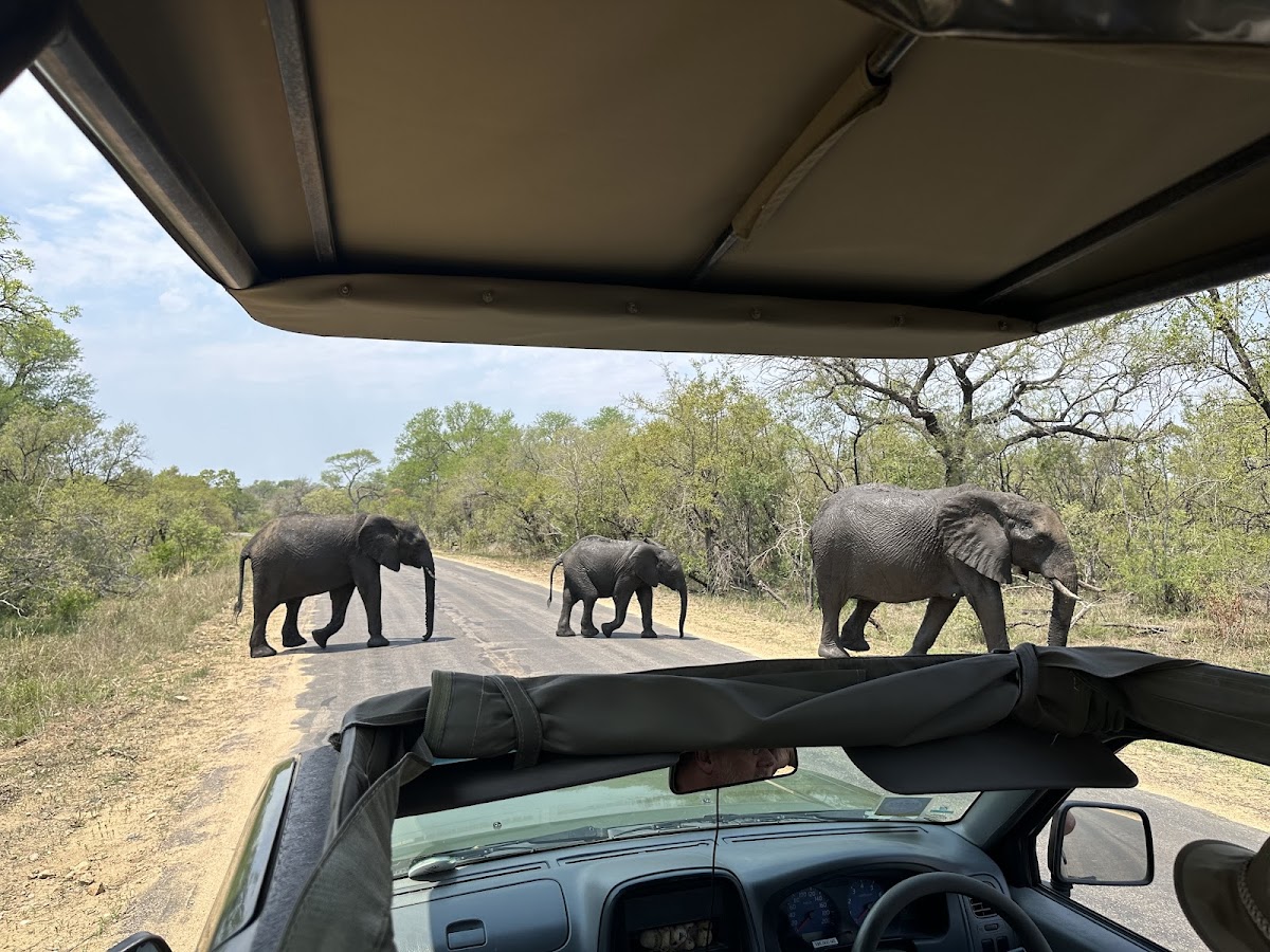 Wild Wings Safaris — tour operator in George, South Africa – photo 4