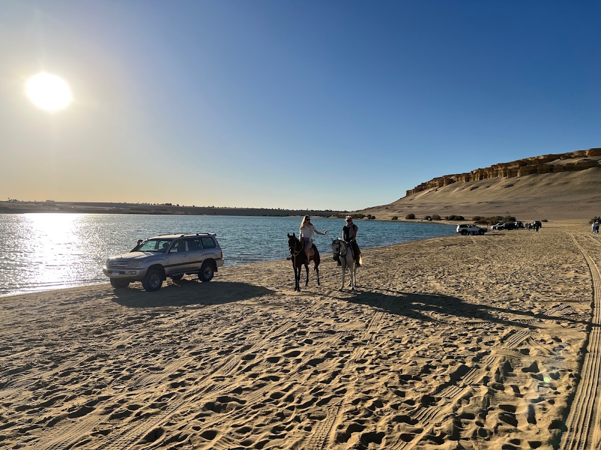 Holiday Tours — tour operator in 14 Mohammed Bek Al Alfi, Egypt – photo 3