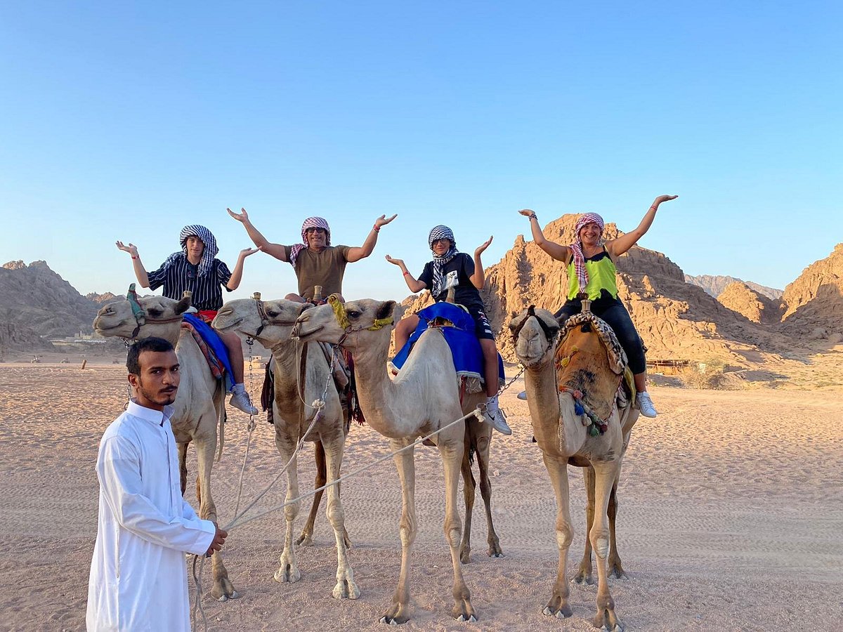 Intours Egypt Sharm Elsheikh — tour operator in Sharm El Sheikh 1, Egypt – photo 1