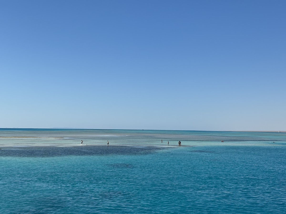 Intours Egypt Sharm Elsheikh — tour operator in Sharm El Sheikh 1, Egypt – photo 4