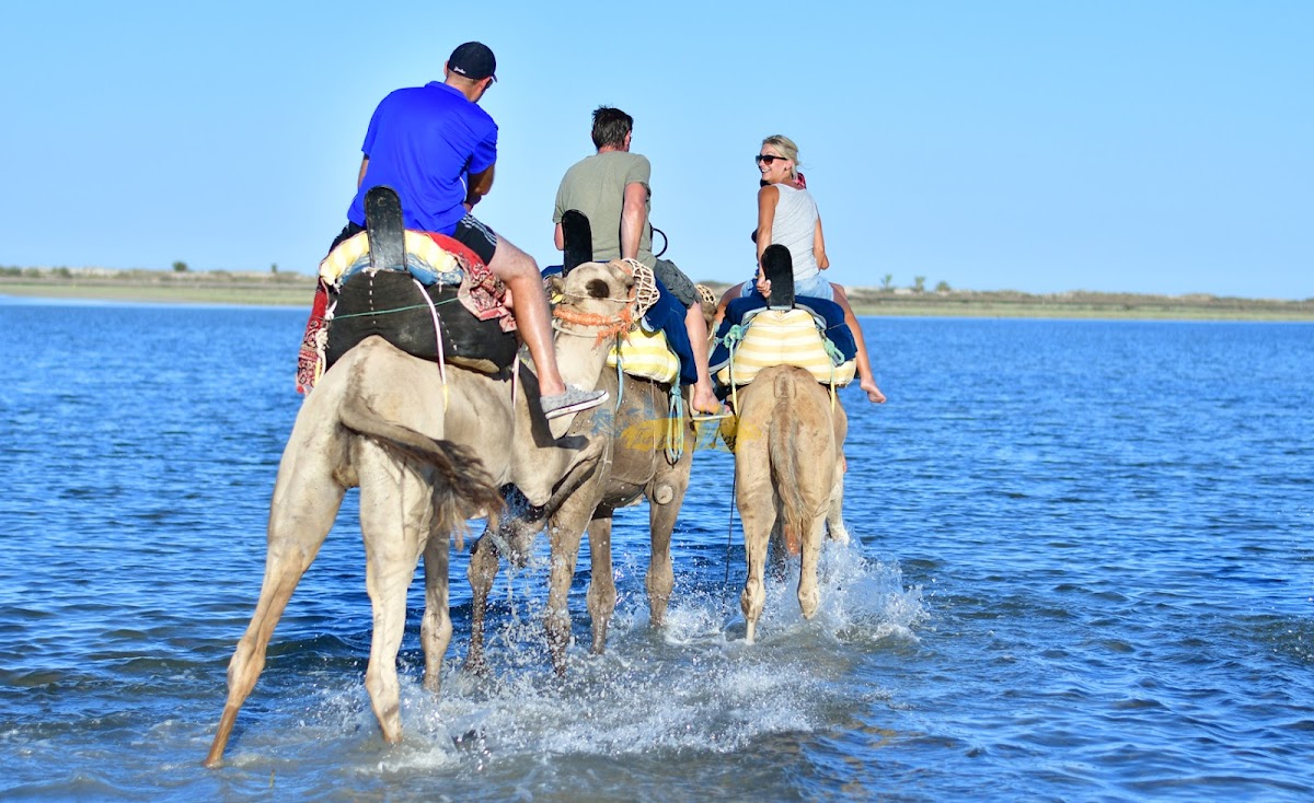 TUNISIA TRIPS — tour operator in 191 BP, Tunisia – photo 3
