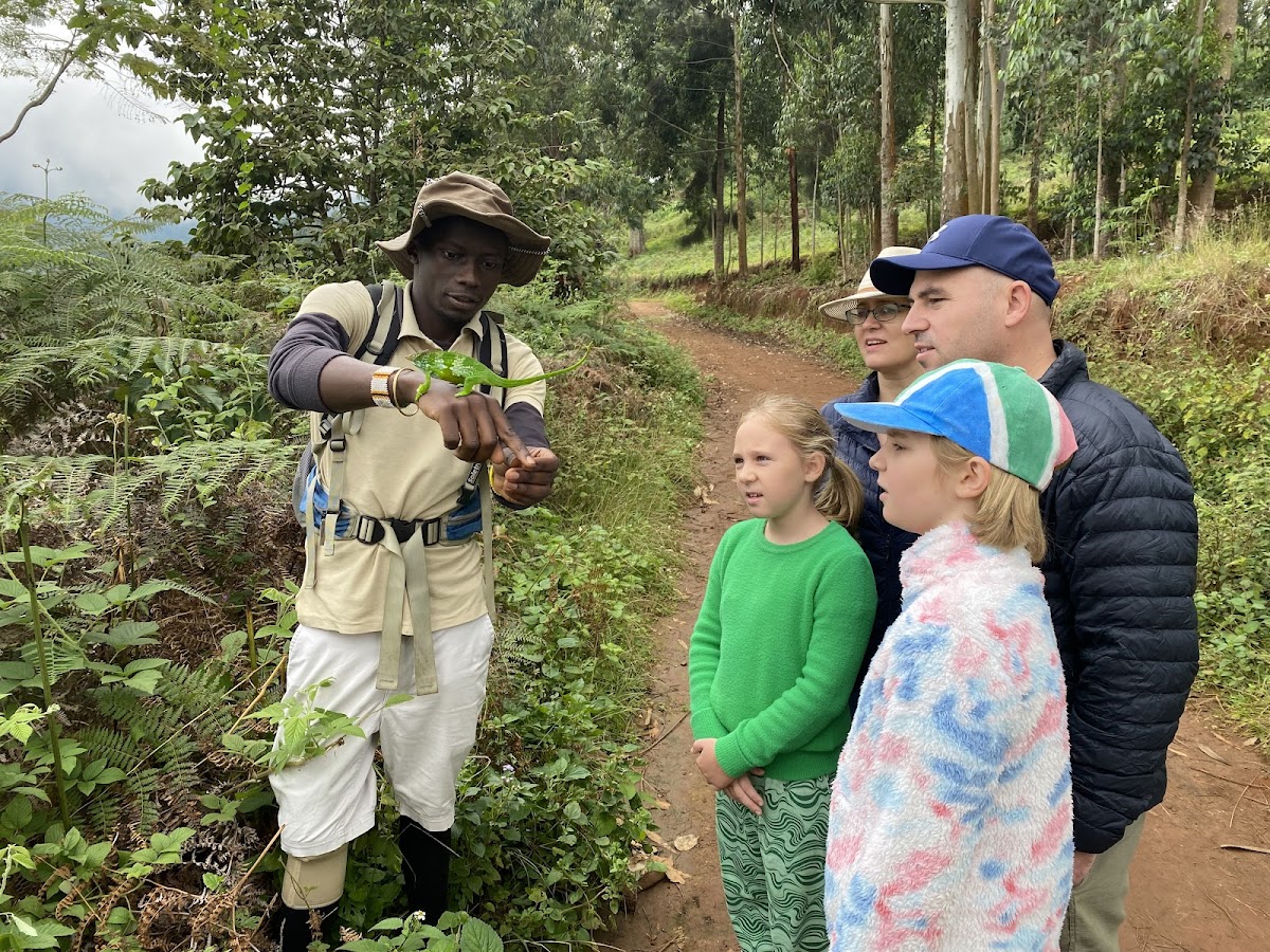 Geofrey Tour Guide Tanzania ๐น๐ฟ โ tour operator in Maguzoni, Tanzania โ photo 3