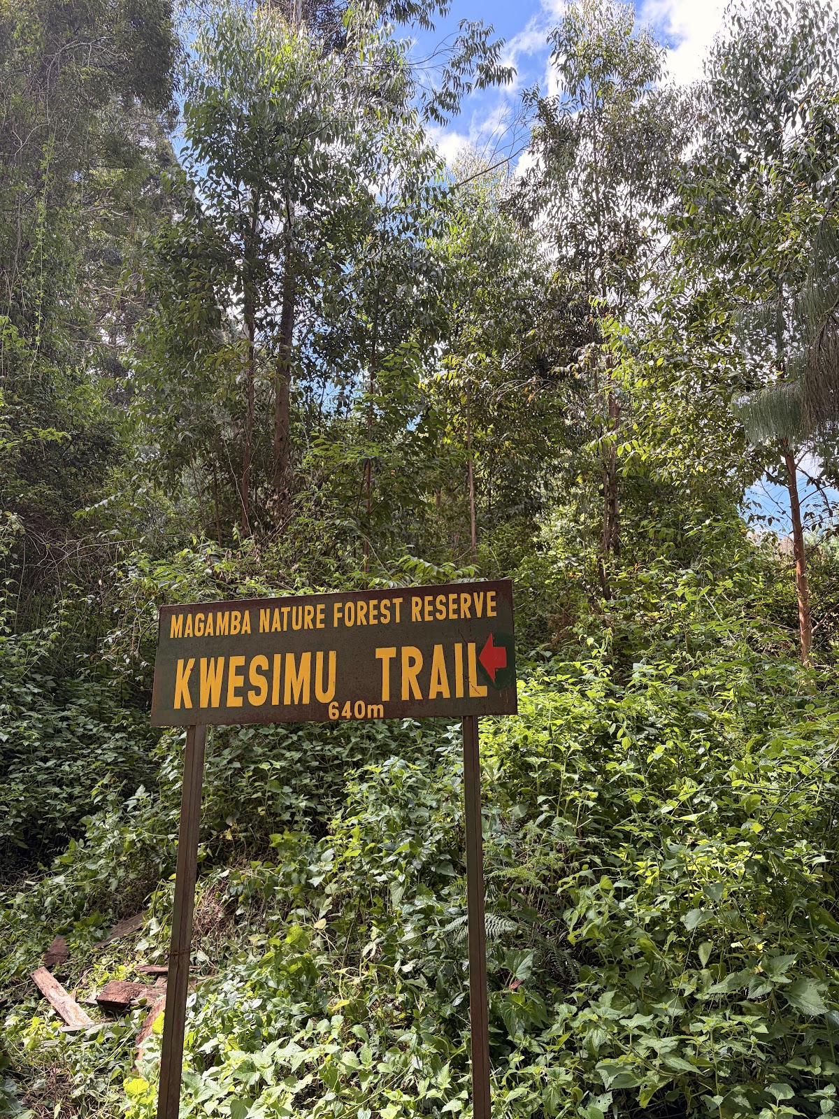 Geofrey Tour Guide Tanzania ๐น๐ฟ โ tour operator in Maguzoni, Tanzania โ photo 5