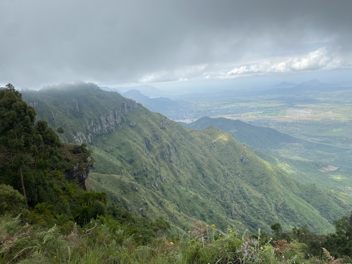 Geofrey Tour Guide Tanzania ๐น๐ฟ โ tour operator in Maguzoni, Tanzania โ photo 2
