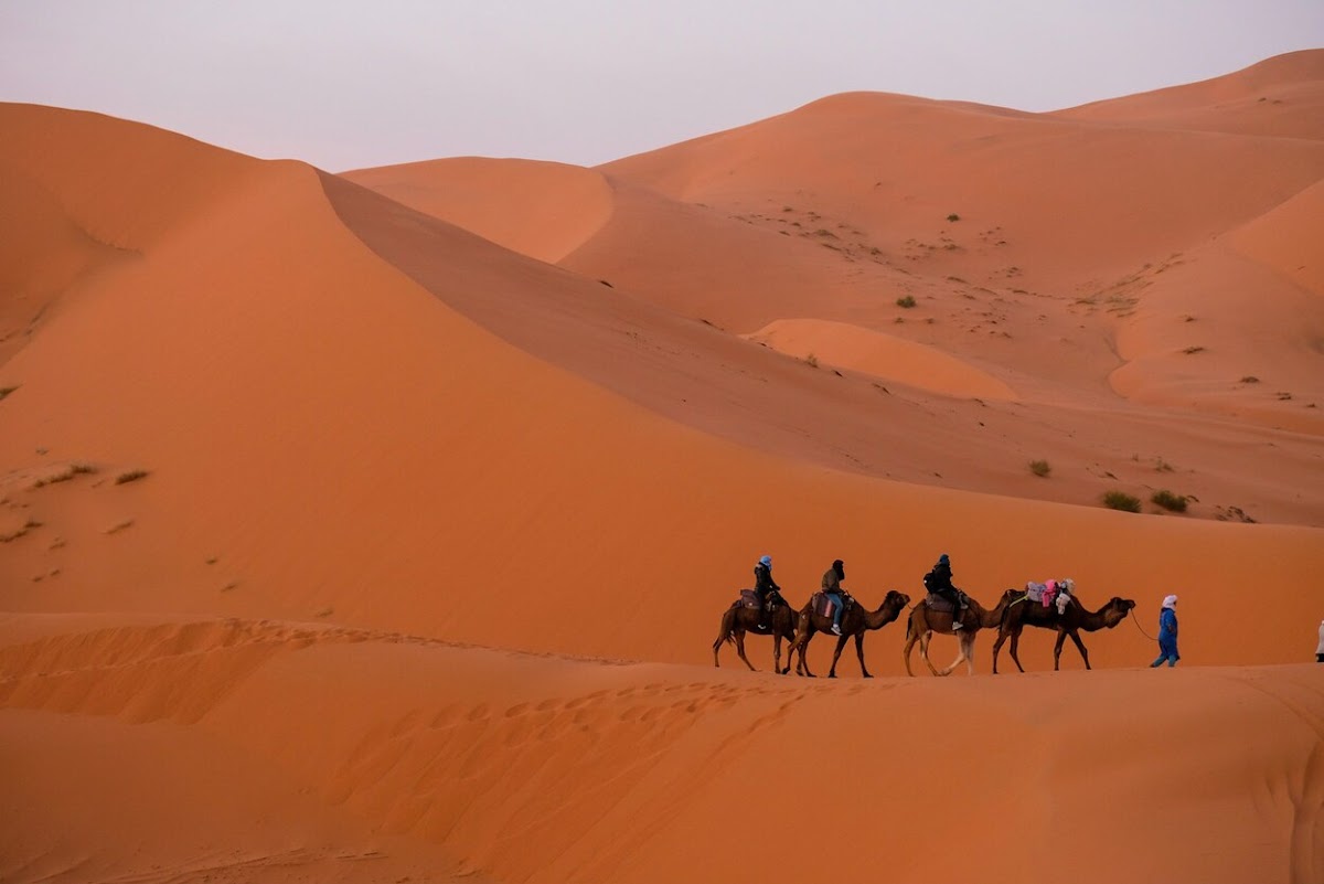 Safari Morocco Tours — tour operator in 47 Rue d'Agadir, Morocco – photo 1