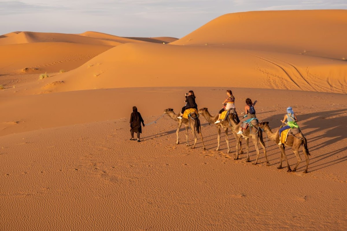 Safari Morocco Tours — tour operator in 47 Rue d'Agadir, Morocco – photo 2