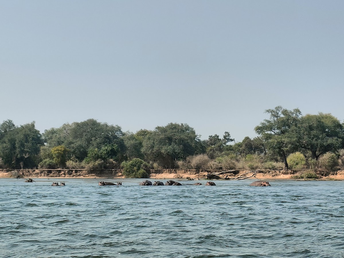 Natureways Safaris — tour operator in Kariba, Zimbabwe – photo 5