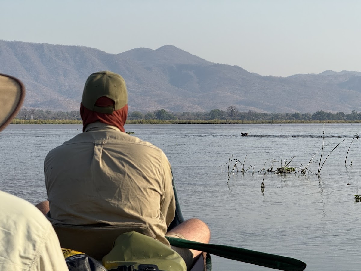 Natureways Safaris — tour operator in Kariba, Zimbabwe – photo 2