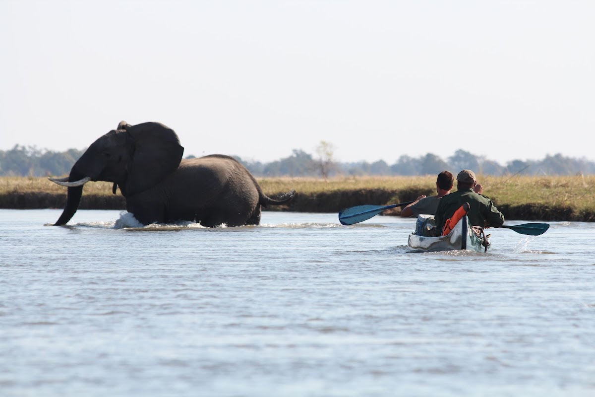 Natureways Safaris — tour operator in Kariba, Zimbabwe – photo 3