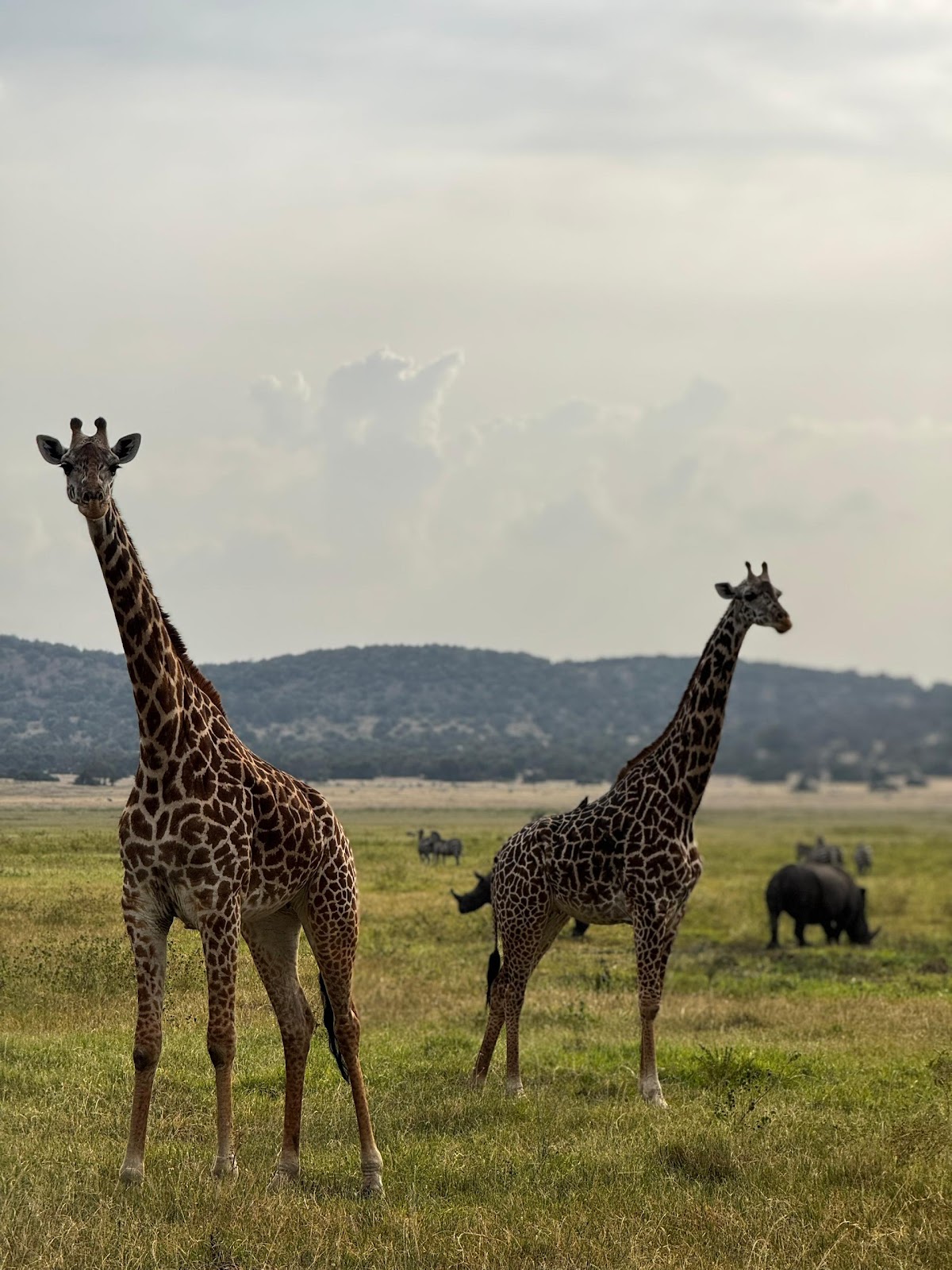 Golden Rwanda Expeditions — tour operator in 4 St, Rwanda – photo 5