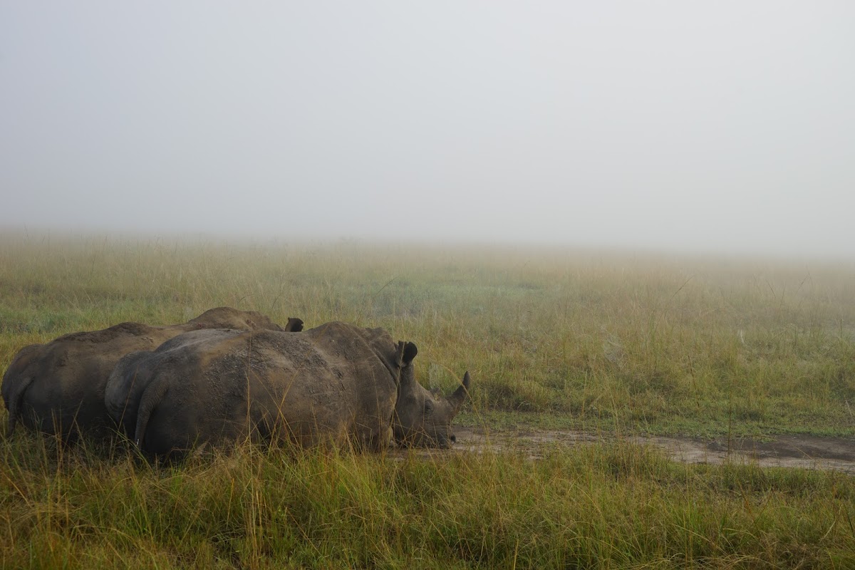 Golden Rwanda Expeditions — tour operator in 4 St, Rwanda – photo 3