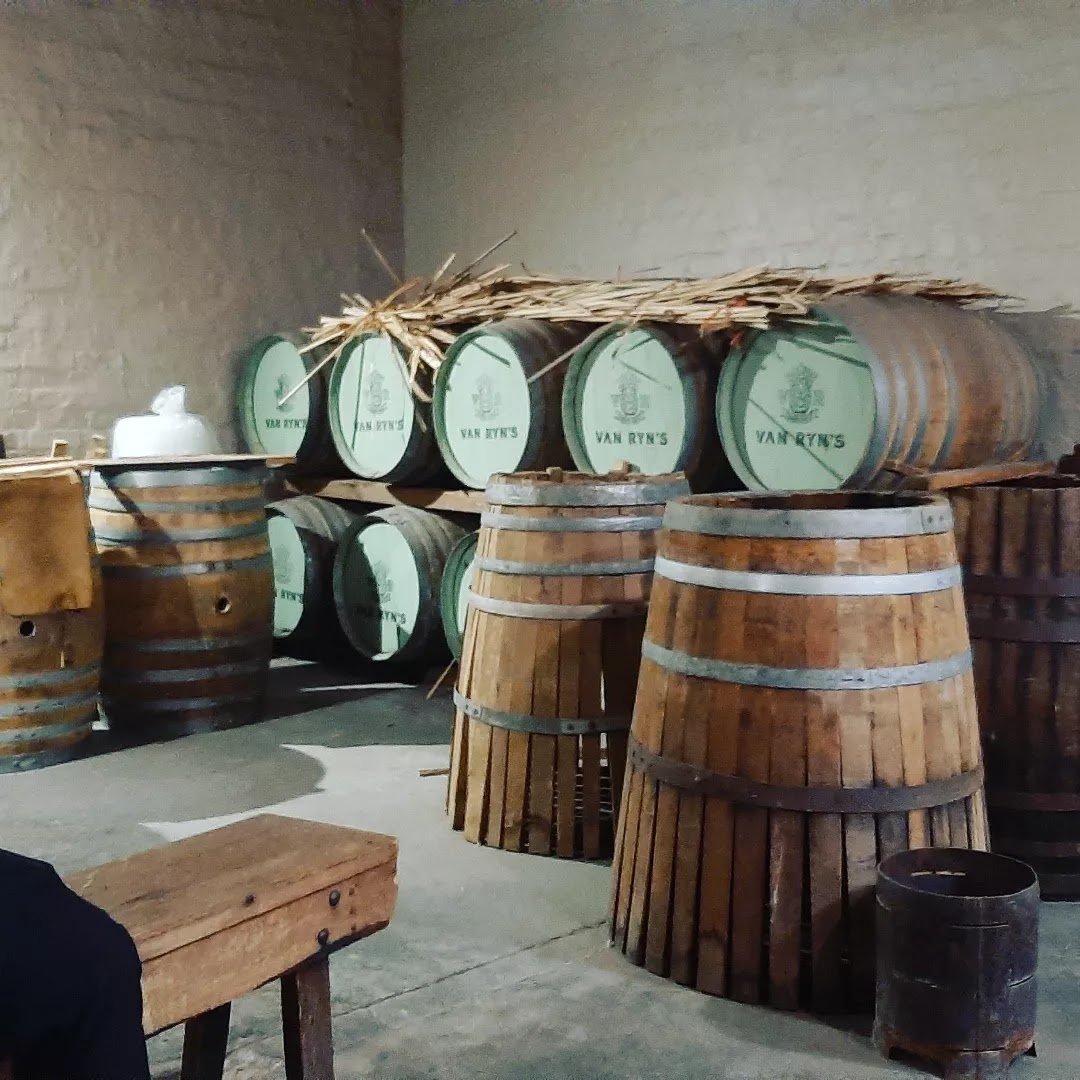 Tourist Guide Institute — tour operator in Cape Town, South Africa – photo 5