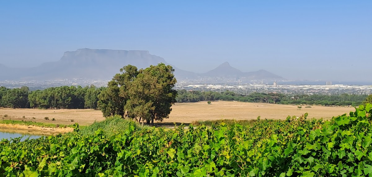 Tourist Guide Institute — tour operator in Cape Town, South Africa – photo 3