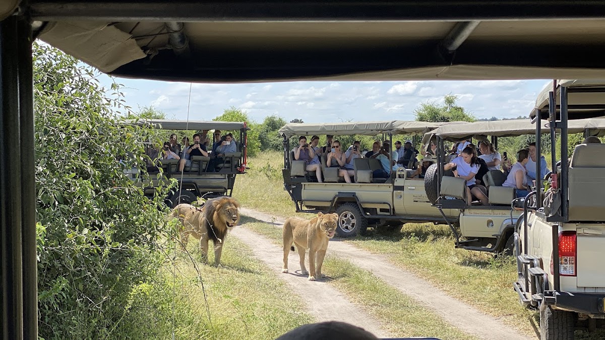 Excellence Trails Safaris — tour operator in 1021 Aerodrome, Zimbabwe – photo 6