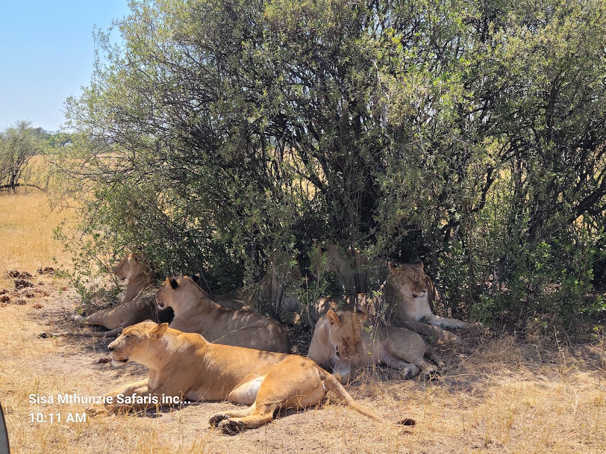 Excellence Trails Safaris — tour operator in 1021 Aerodrome, Zimbabwe – photo 2