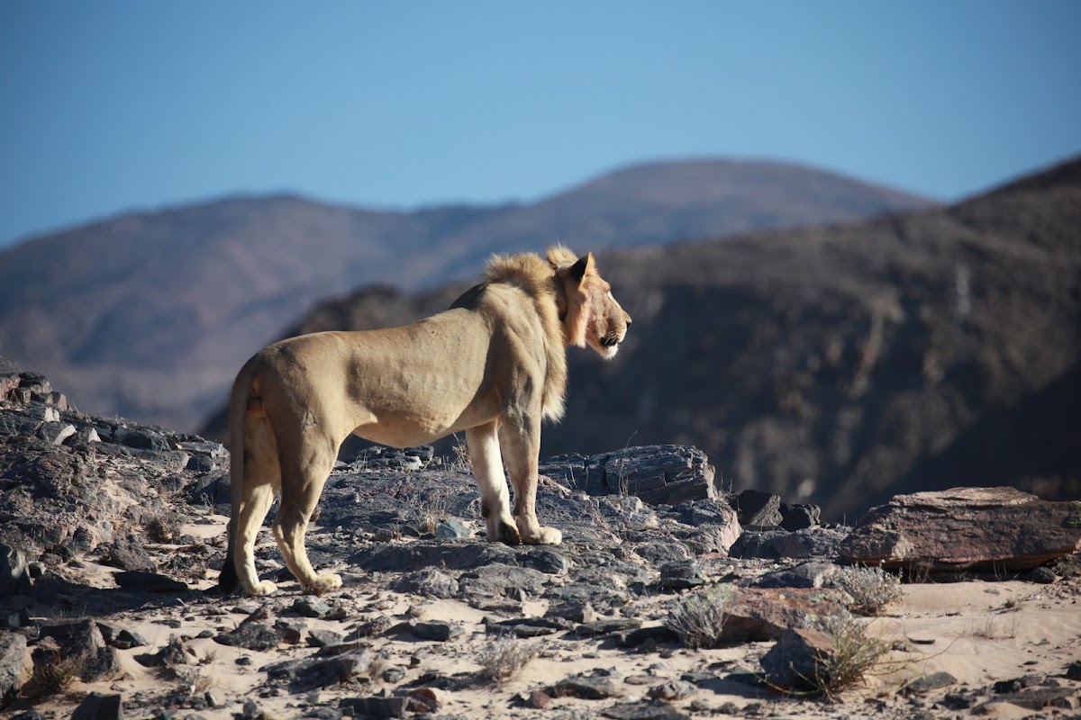 ATI Holidays — tour operator in 35 Osler Street, Namibia – photo 5