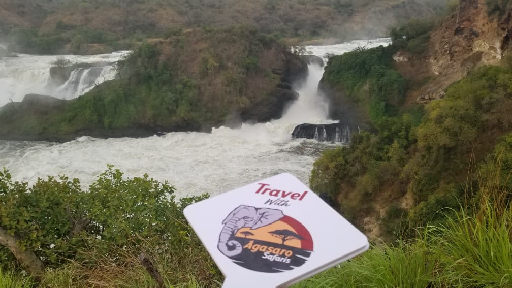 AGASARO SAFARIS — tour operator in Kenneth Dale, Uganda – photo 6