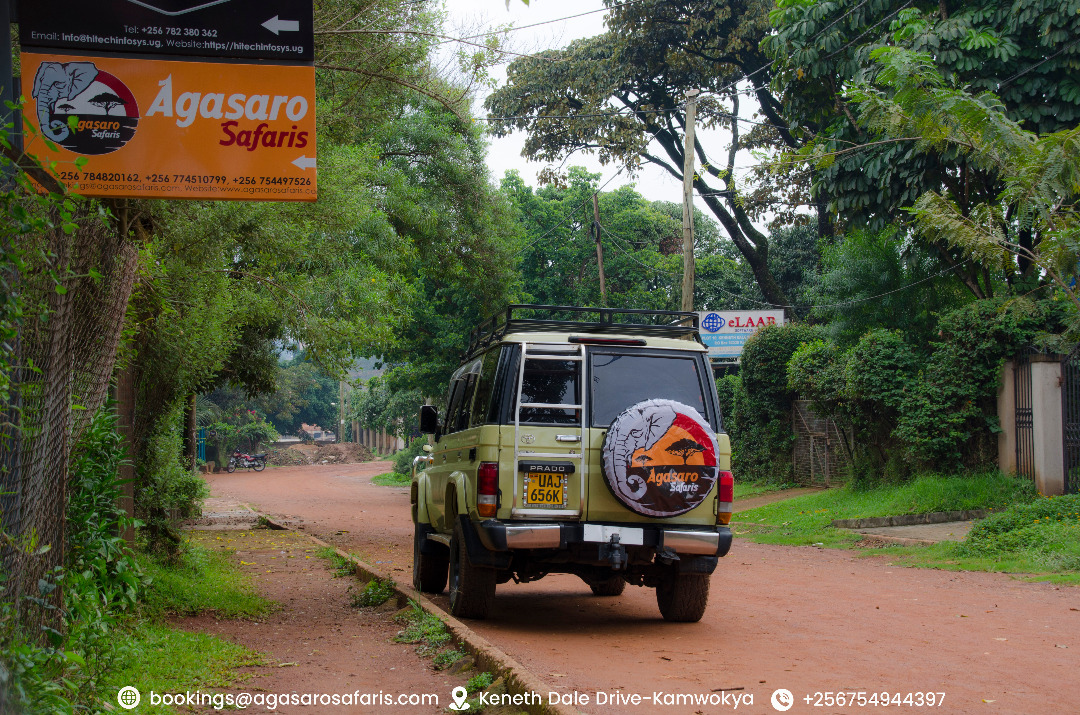 AGASARO SAFARIS — tour operator in Kenneth Dale, Uganda – photo 3