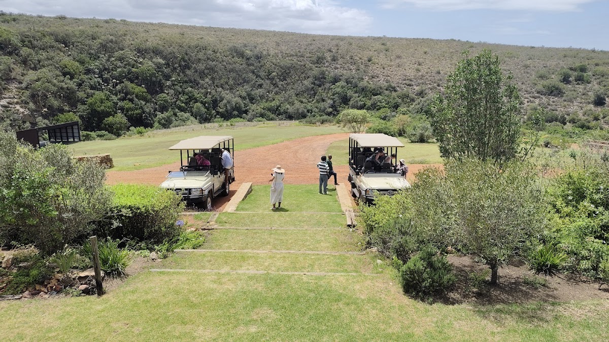 Into Tours — tour operator in Gqeberha, South Africa – photo 6