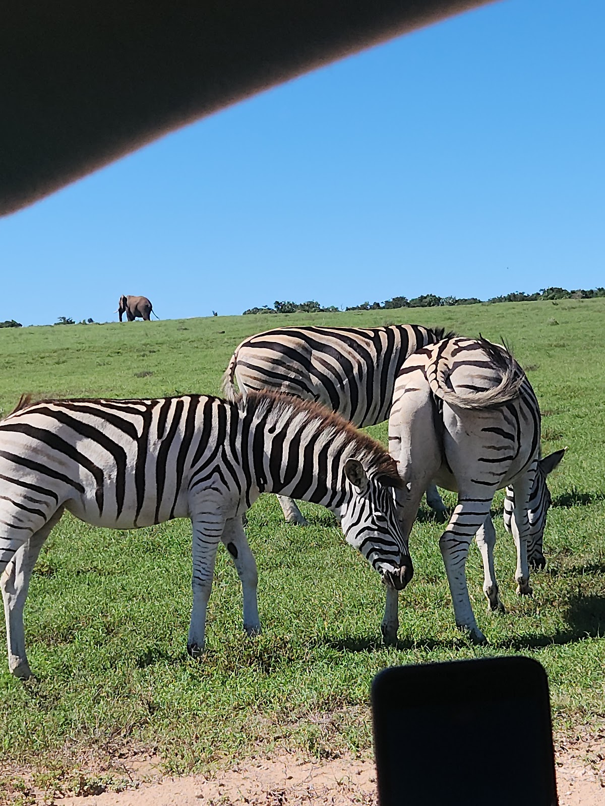 Into Tours — tour operator in Gqeberha, South Africa – photo 5