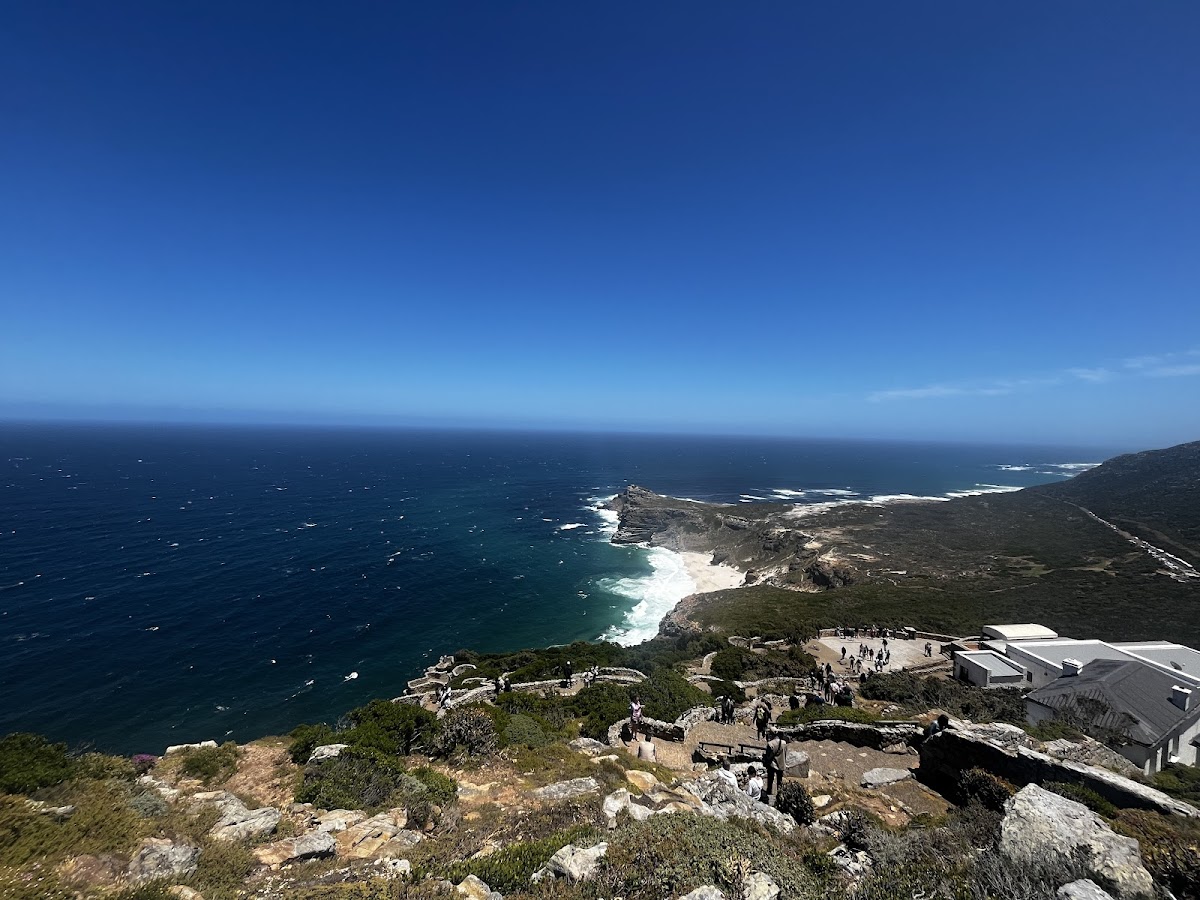 African Eagle Day Tours — tour operator in Cape Town, South Africa – photo 4