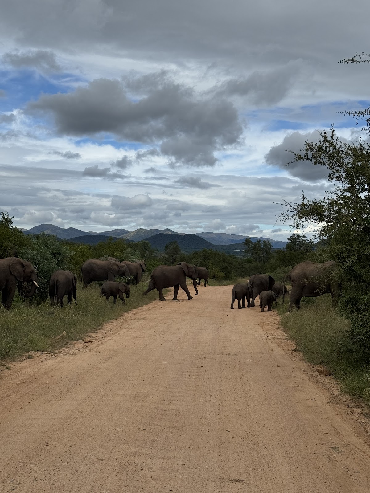 African Eagle Day Tours — tour operator in Cape Town, South Africa – photo 3