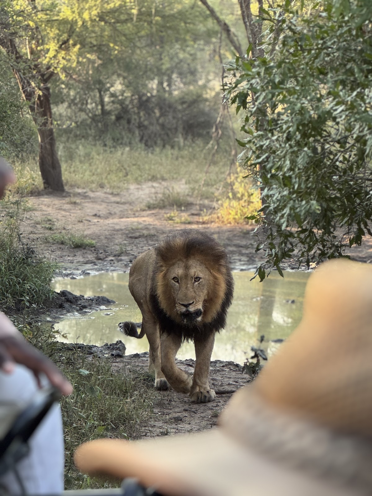 African Eagle Day Tours — tour operator in Cape Town, South Africa – photo 2