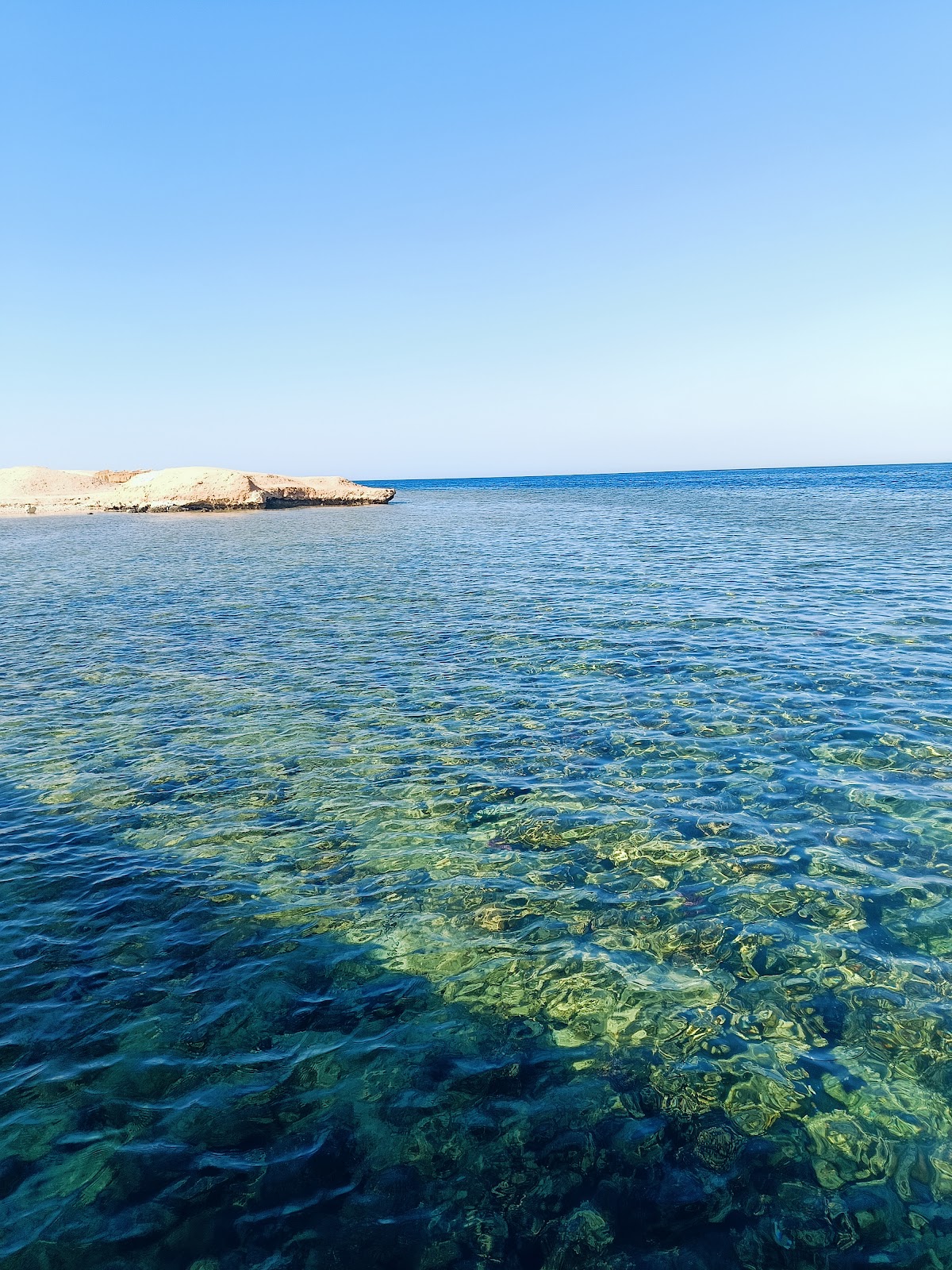 Manolo tours Egypt, Private Luxor, Cairo, Speedboat, Boat & quad bike, Trip with group, hurghada tours, marsa alam tours — tour operator in Hurghada 1, Egypt – photo 4