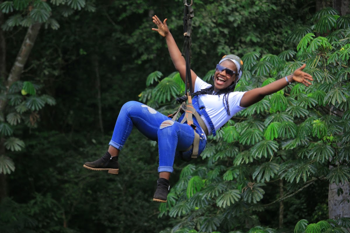 Magic African Safaris | Gorilla Trekking in Uganda | Uganda Safaris and Tours | Safari Uganda — tour operator in Equatoria Mall, Uganda – photo 3