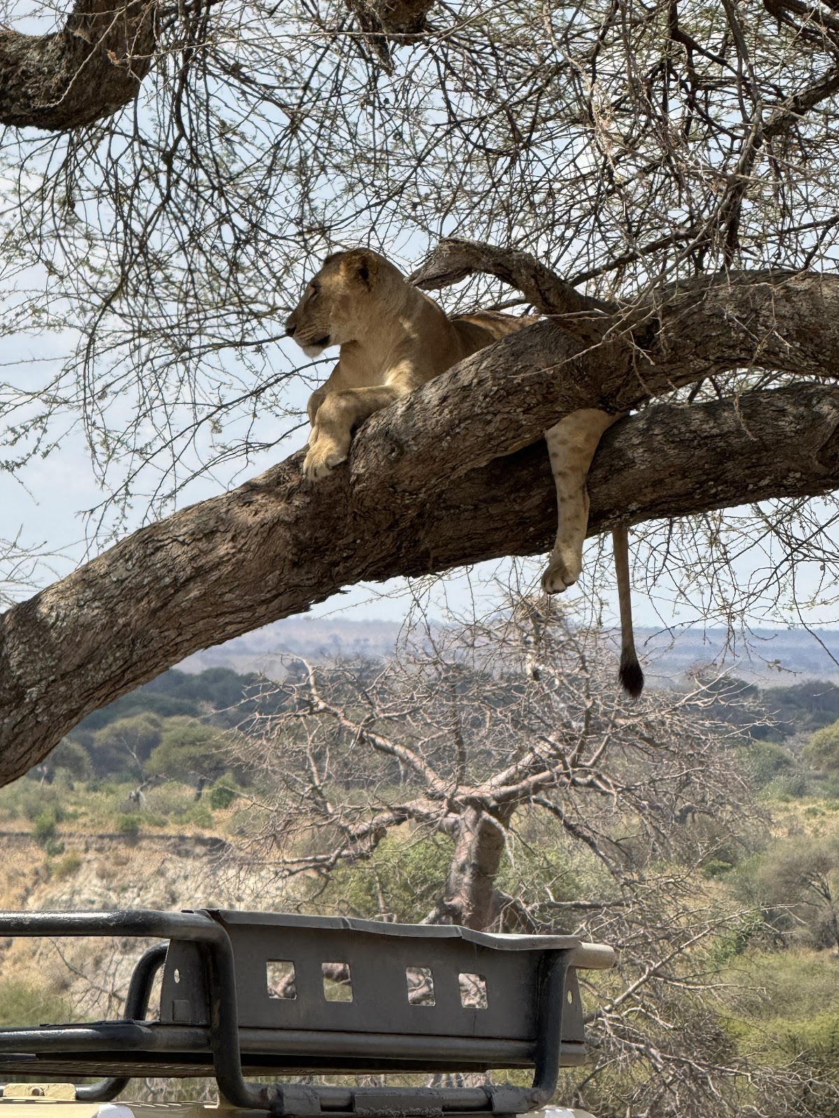 KUBWA FIVE SAFARIS — tour operator in Jinja Road Police Station, Uganda – photo 5