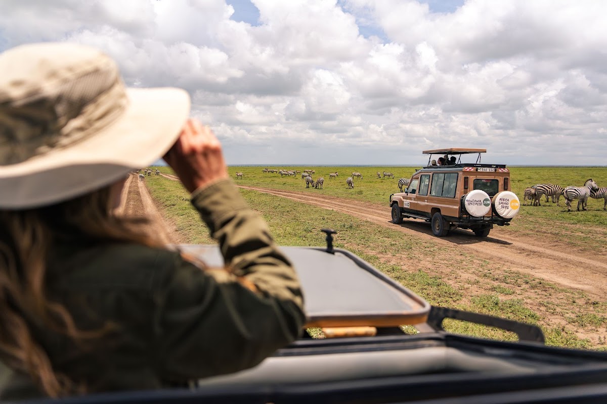 R & M Tanzania Specialist Ltd — tour operator in Mateves, Tanzania – photo 1