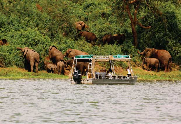 Kondeviller Tours and Travel - Uganda Safaris and Tours — tour operator in Wavamunno Rd, Uganda – photo 6
