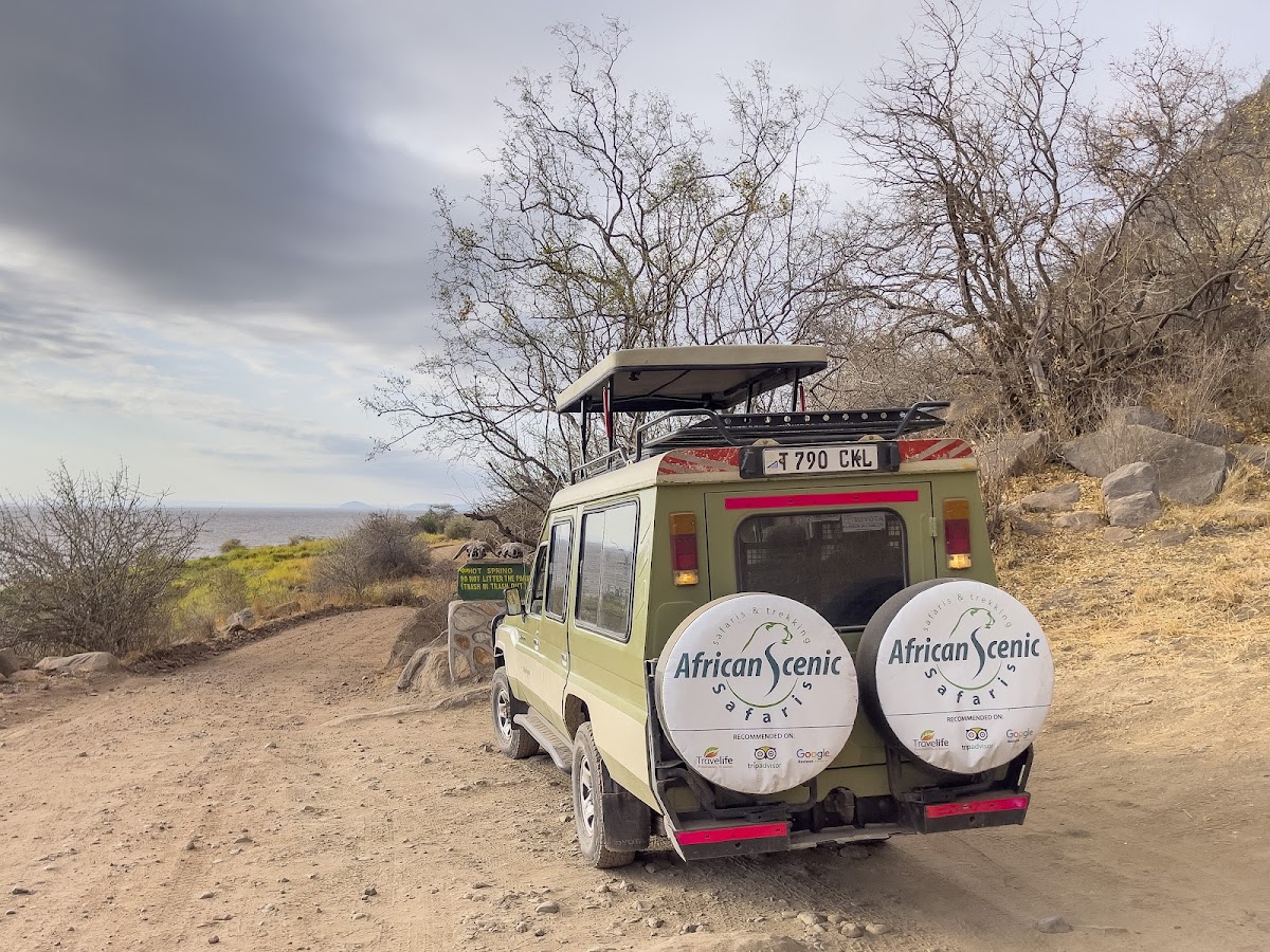 African Scenic Safaris: Best Tanzania Tour Operator & Kilimanjaro Climbing Company 2026 — tour operator in Lameck Kaaya Moshi TZ, Tanzania – photo 1