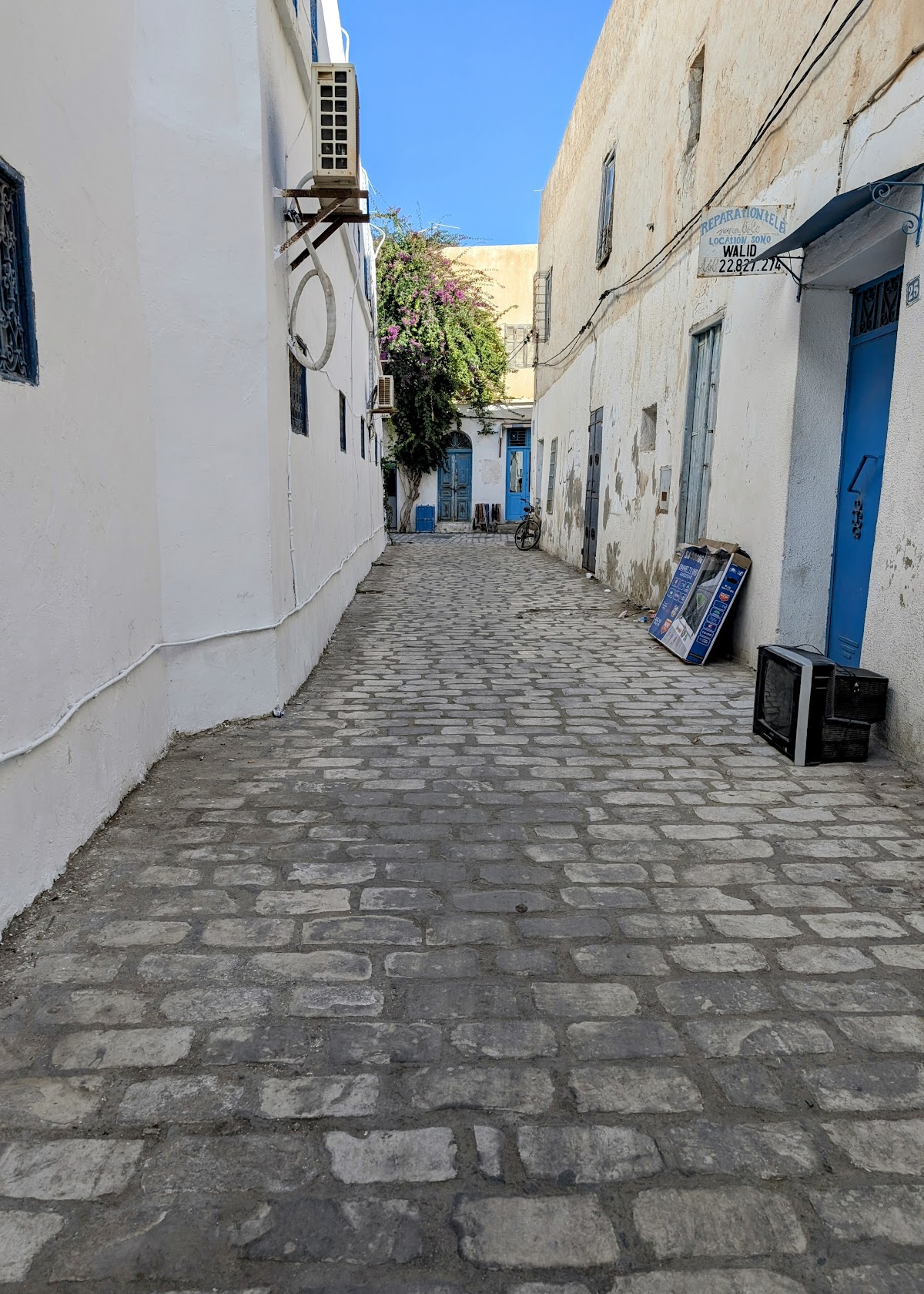 Tunisia With David — tour operator in 26 Rue De Bizart, Tunisia – photo 6